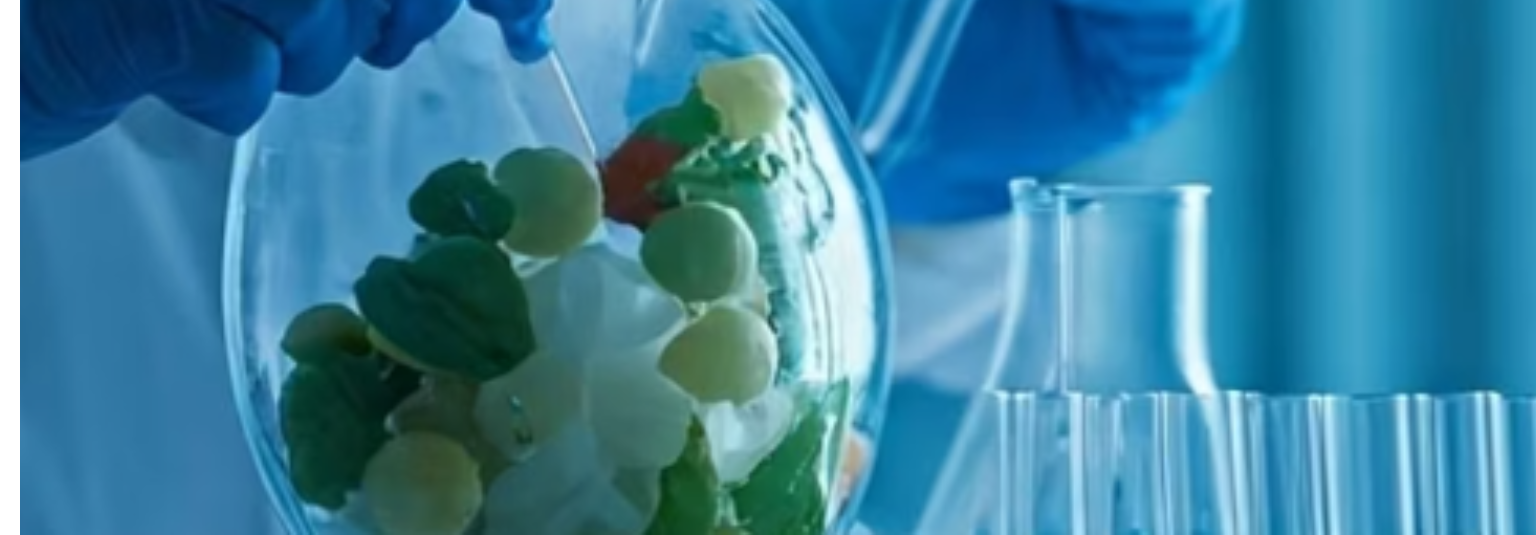 Bioseguridad e IA en la Industria Alimentaria